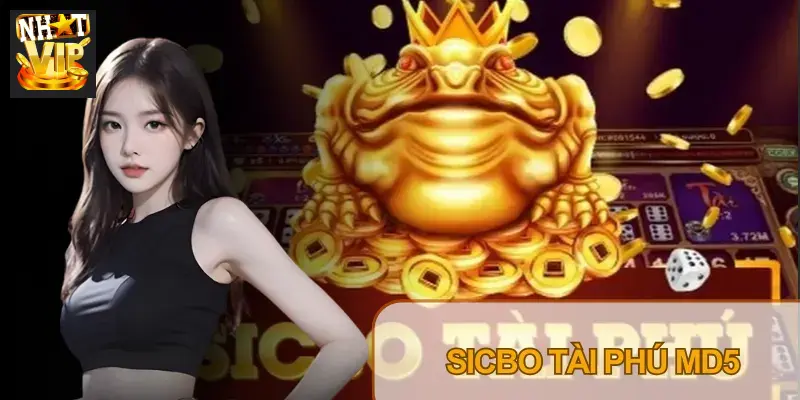 Sicbo Tài Phú MD5 Nhatvip – Cách Check MD5 Và Thế Cầu Hay Sicbo Tài Phú MD5 Nhatvip – Cách Check MD5 Và Thế Cầu Hay