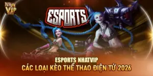 Esports Nhatvip – Cá Cược Thể Thao Điện Tử Kèo Thơm 2026